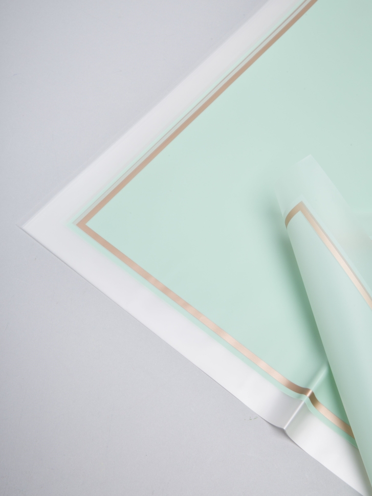 Пленка матовая 58смх58см 10 листов 50мкм кант 50 зеленый пастель Пленка матовая 58смх58см 10 листов 50мкм кант 50 зеленый пастель