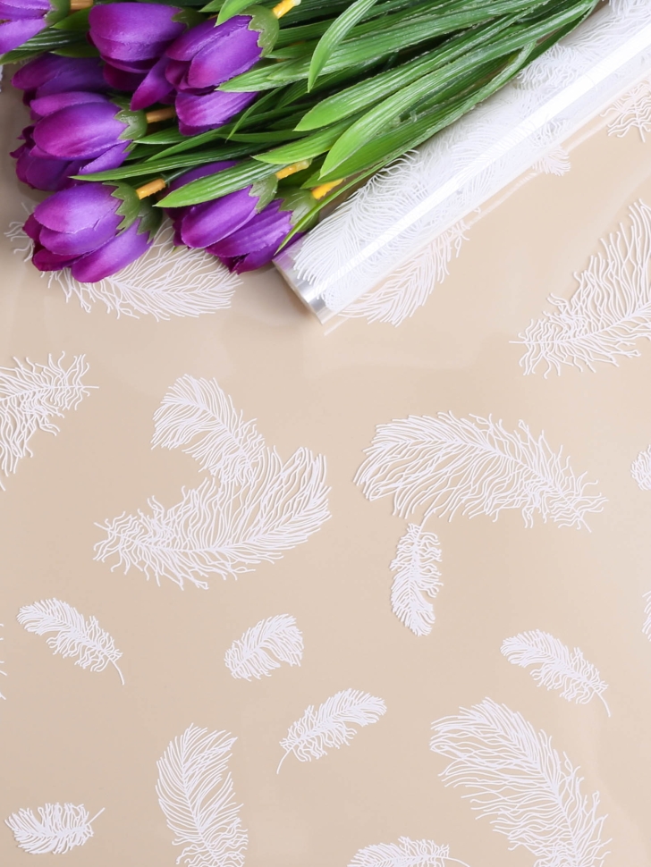 Пленка цветная 60см Перышки белый Пленка цветная 60см Перышки белый