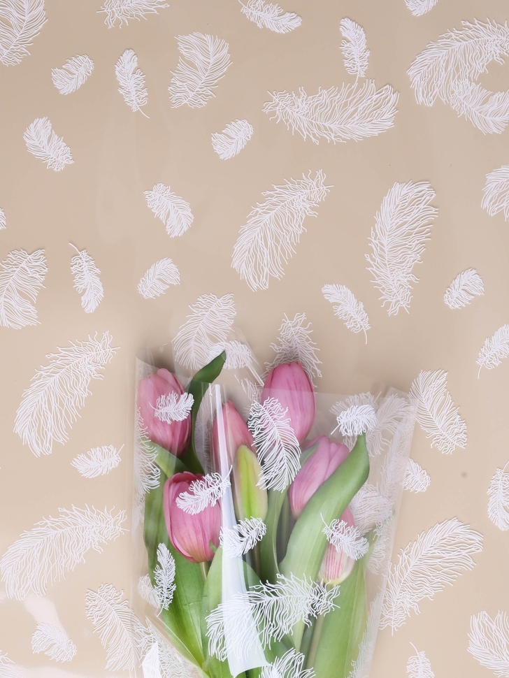 Пленка цветная 60см Перышки белый Пленка цветная 60см Перышки белый