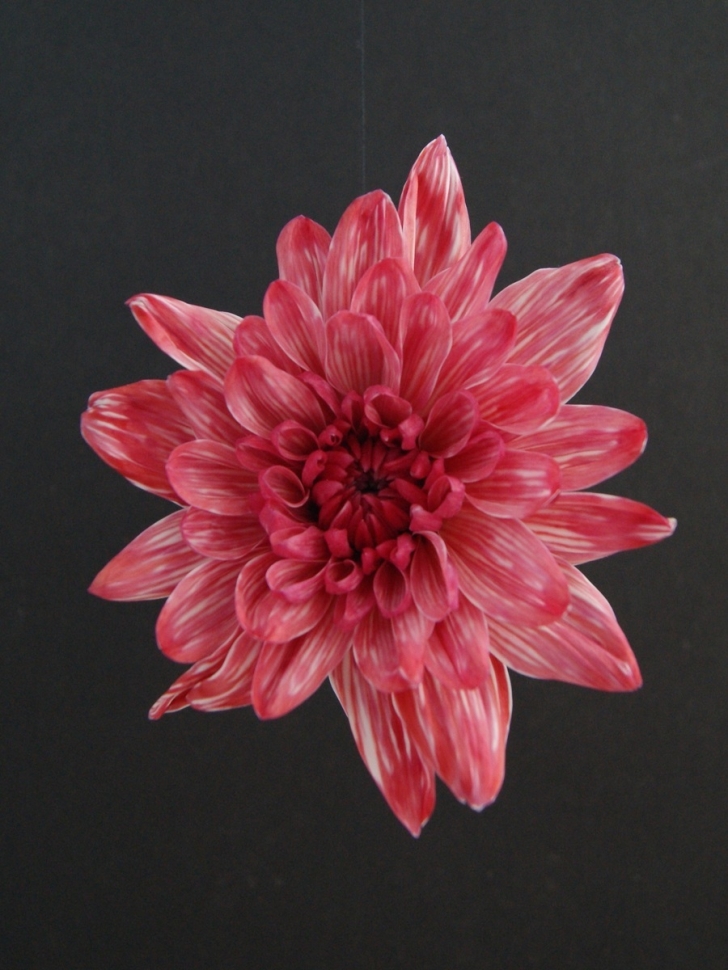 Краска для окрашивания живых цветов 1л клюквенный 13 Краска для окрашивания живых цветов 1л клюквенный 13