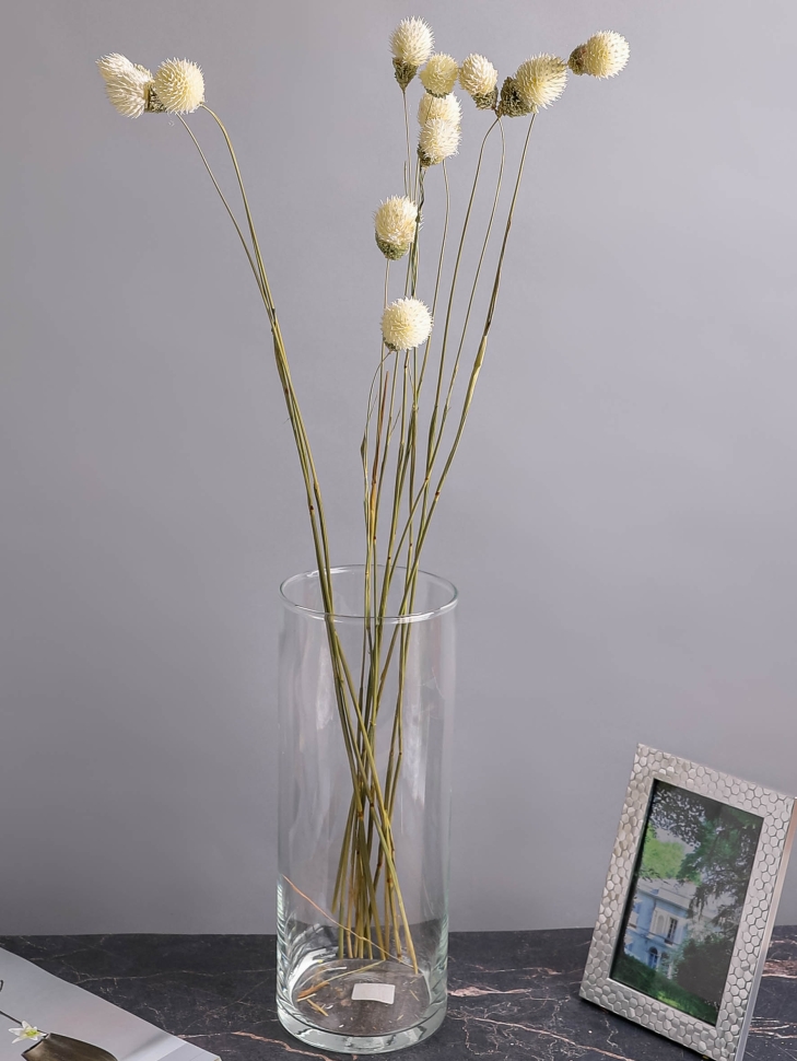 ИЦ Краспедия 12шт 70 см белый ИЦ Краспедия 12шт 70 см белый