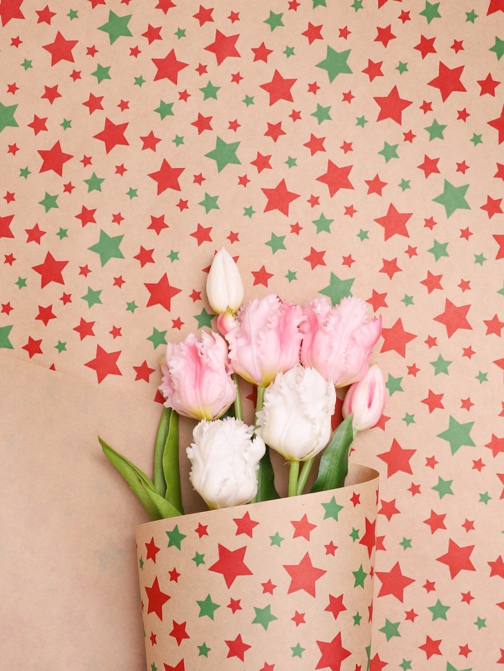 Бумага крафт 70г/м2, 70см x 10м, Звезды зеленый/ягодный пунш Бумага крафт 70г/м2, 70см x 10м, Звезды зеленый/ягодный пунш