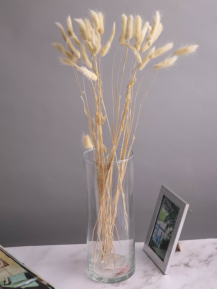 Лагурус цветной 30 голов 2104148 белый Лагурус цветной 30 голов 2104148 белый