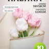 Пленка матовая 58смх58см 10 листов 50мкм кант Розовое золото, кремовый Пленка матовая 58смх58см 10 листов 50мкм кант Розовое золото, кремовый