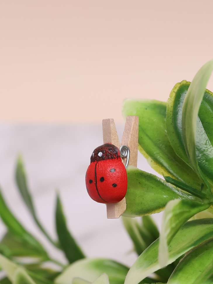 Прищепка Божья коровка 24шт. Biedronka 2 (1,5см) натуральная Прищепка Божья коровка 24шт. Biedronka 2 (1,5см) натуральная