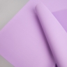 Пленка матовая 58см х 58см 60мкм 10 листов, сиреневый светлый Пленка матовая 58см х 58см 60мкм 10 листов, сиреневый светлый