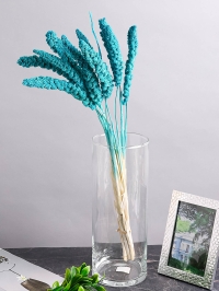 ИЦ Сетария 10шт 60см К бирюзовый