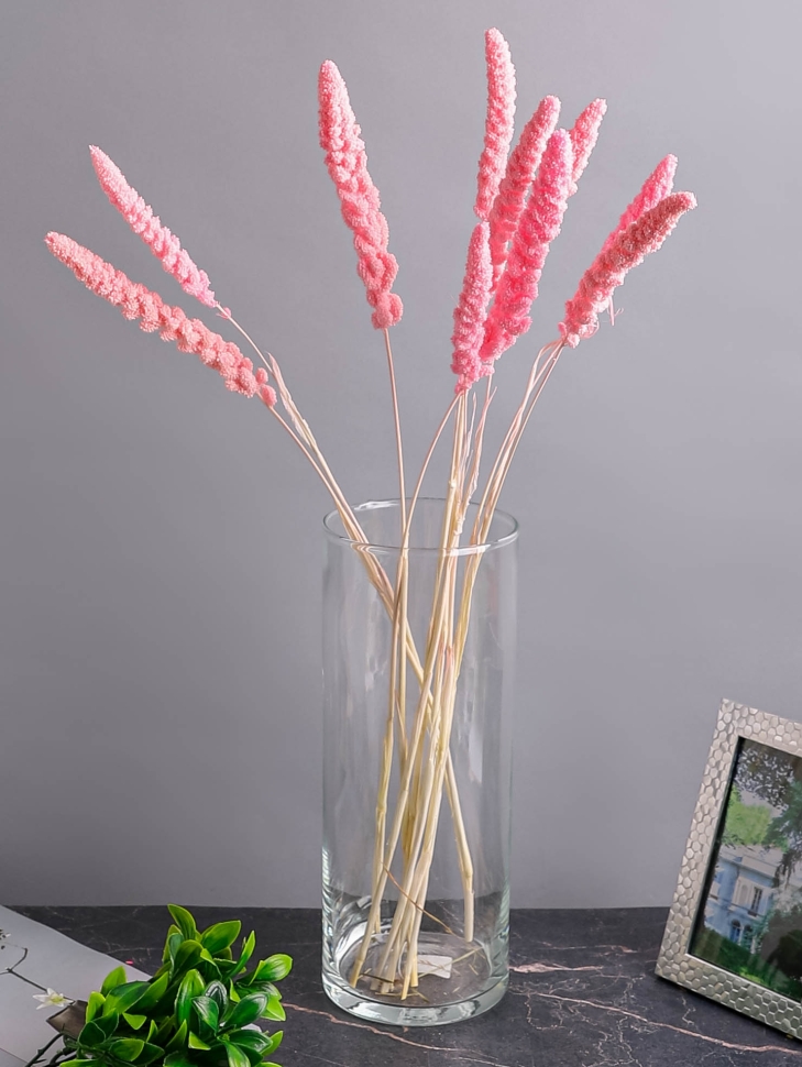 ИЦ Сетария 10шт 60см К розовый ИЦ Сетария 10шт 60см К розовый