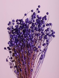 Лен-долгунец 55см 50гр фиолетовый