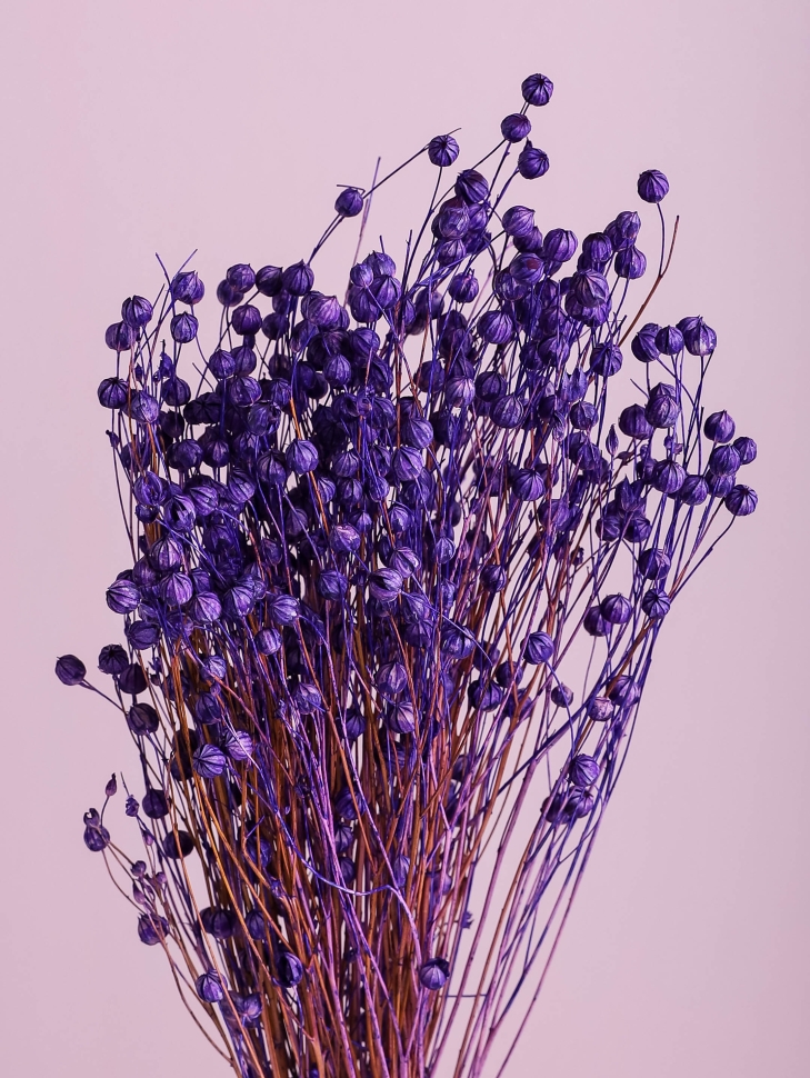 Лен-долгунец 55см 50гр фиолетовый