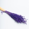 Лен-долгунец 55см 50гр фиолетовый