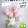 Пленка матовая 58смх58см 10 листов 50мкм Полоски белый с белым кантом Пленка матовая 58смх58см 10 листов 50мкм Полоски белый с белым кантом