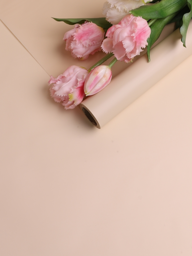 Пленка матовая 60см х 10м на втулке мокко Пленка матовая 60см х 10м на втулке мокко