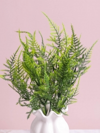 ИЦ Аспарагус 37см 256