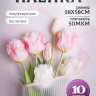 Пленка матовая 58смх58см 10 листов 50мкм Полоски розовый светлый с розовым кантом Пленка матовая 58смх58см 10 листов 50мкм Полоски розовый светлый с розовым кантом
