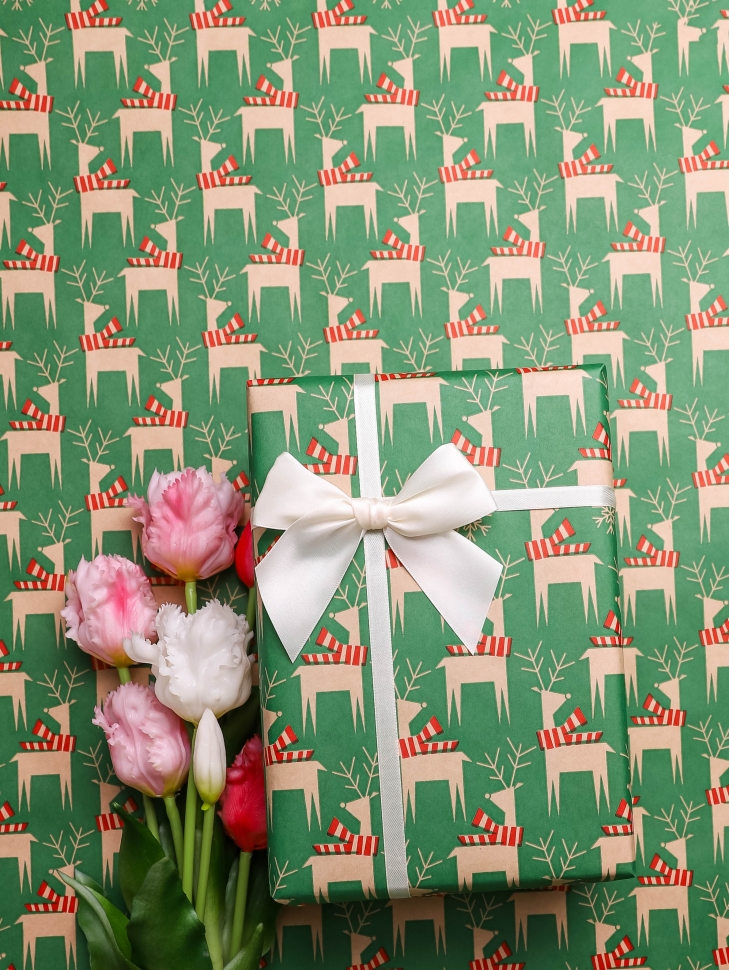 Бумага крафт 70г/м2, 70см x 10м, Олени с шарфиком, зеленый/красный Бумага крафт 70г/м2, 70см x 10м, Олени с шарфиком, зеленый/красный