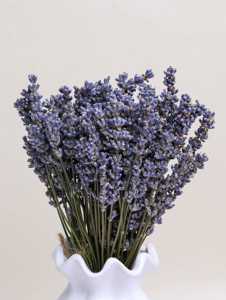 Лаванда натуральная 25-30см 45гр "Синева" Лаванда натуральная 25-30см 45гр "Синева"
