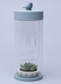 Бутылка с кактусом 450мл серый А