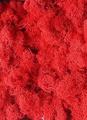 Мох натуральный  50мл стабилизированный красный