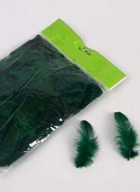 Перья цветные 9см, П темно-зеленый Перья цветные 9см, П темно-зеленый
