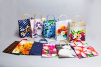 Сумочка пластик мягкий 26х23х10см; S